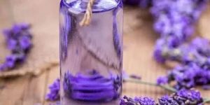 Lavender Oil