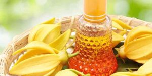Ylang Ylang Oil