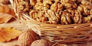 Indian Walnuts