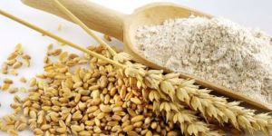 Wheat Flour