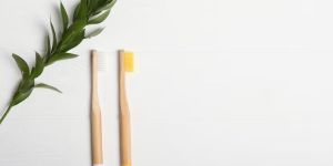 Bamboo Vegan Color Toothbrush