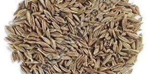 Cumin Seeds