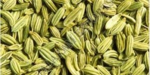 Fennel Seeds