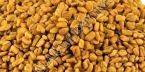 Fenugreek Seeds