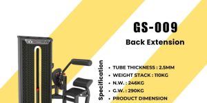 Back Extension Machine