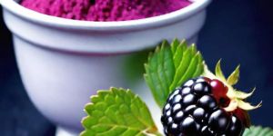 Blackberry Extract