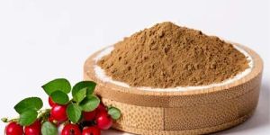Rosehip Extract