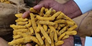 NIJAM TURMERIC FINGER