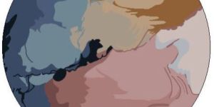 Hand Tufted Rugs Carpets