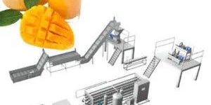 Mango Pulp Processing Plant