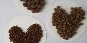 Floating Fish Feed Plant