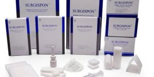 Chitosan Sponge