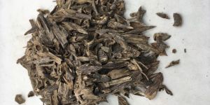 Agarwood Mori
