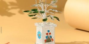 Divine Silver Tulsi Plant