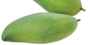 Fresh Green Mango
