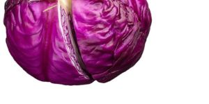 Fresh Red Cabbage