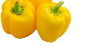 Fresh Yellow Capsicum-250 Gms