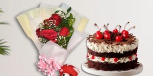 Mini Red Rose Bouquet & Cake Combo