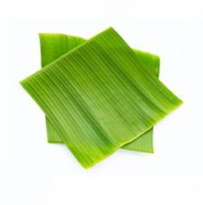 Banana Leaves