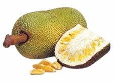 Indian Jackfruit