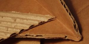 Corrugated Paper Sheet