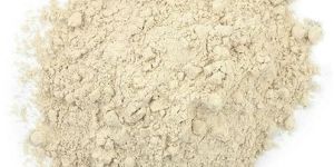 Rice Protein Hydrosylate