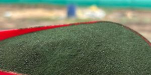 Pure Spirulina Powder