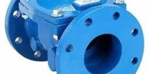 Swing Flex Check Valve