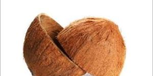 Coconut Shell
