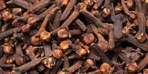 Clove Seeds