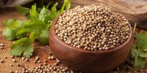 Coriander Seed