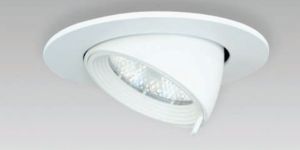 DOLPHIN CEILING DOWN LIGHT