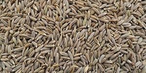 Cumin Seeds