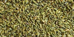 Fennel Seeds