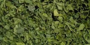 Kasuri Methi
