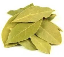 Bay Leaf