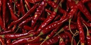 Red Chilli