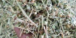 Ashwagandha Panchang