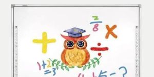 Promark Interactive White Board