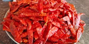 Guntur Stemless Dry Red Chilli
