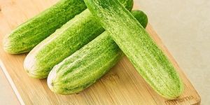 Cucumber