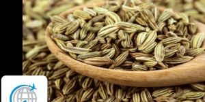 Fennel Seeds