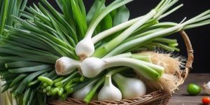 Spring Onion