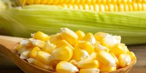 Yellow Corn
