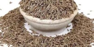 Cumin Seed