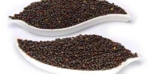Mustard Seeds