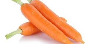 Orange Carrot