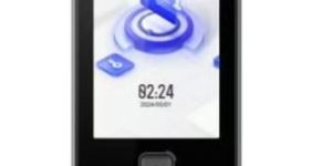 Face Recognition Attendance System DS-K1T344EBFWX-E1