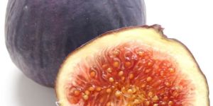 Fig