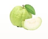 Guava